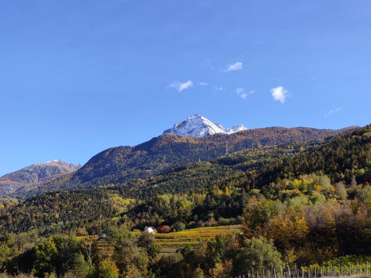 Апартаменты Au Fond Du Bourg Аоста Экстерьер фото